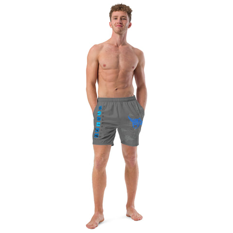 Manta Polynesian Double Blue Images Men's swim trunks