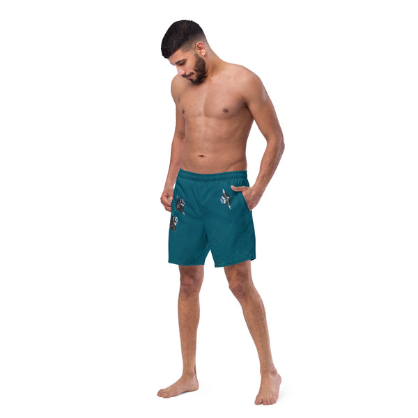 Manta Rays from Above Men's swim trunks