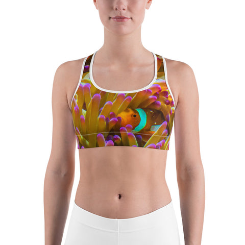 Hiding Nemo Sports bra