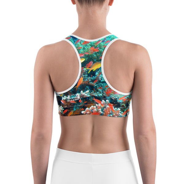 Anthias Reef Sports bra