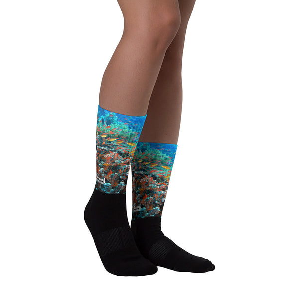 Anthias Reef Socks