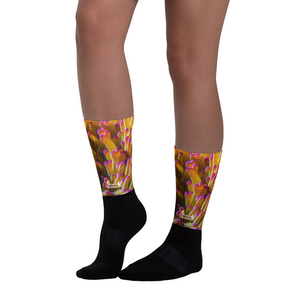 Sea Anemone Socks