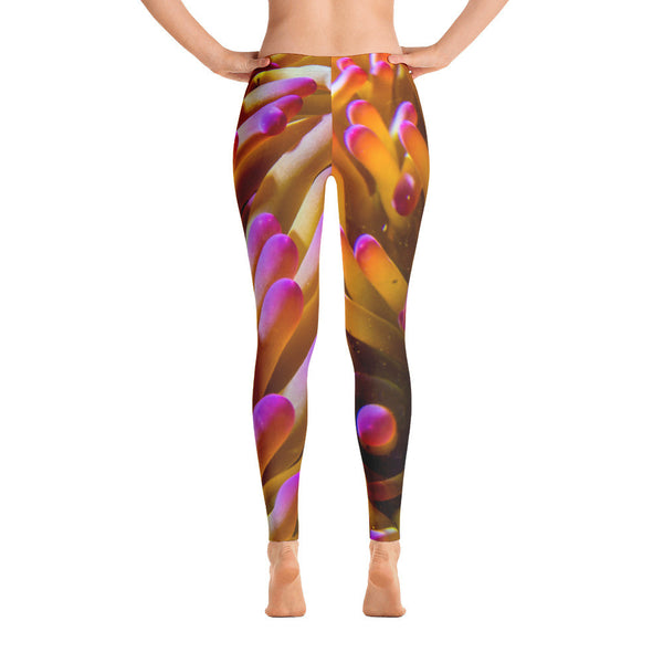 Purple-tipped Anemone Leggings