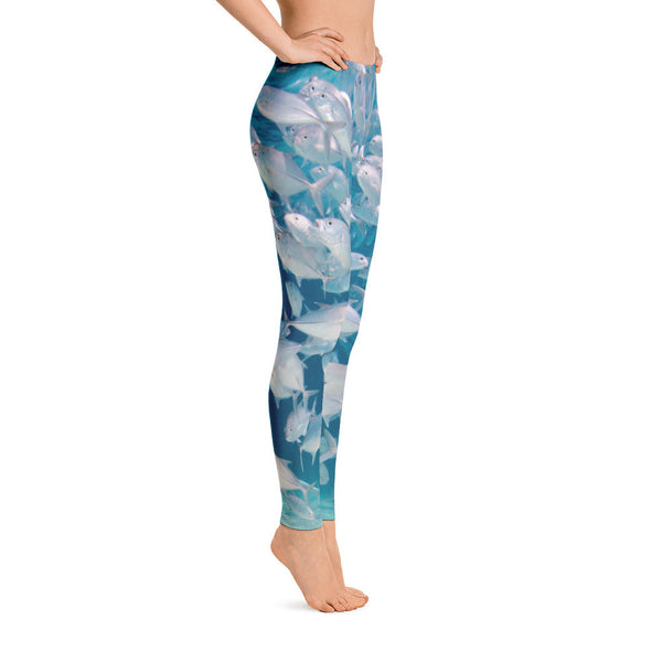 Crazy Jacks Leggings