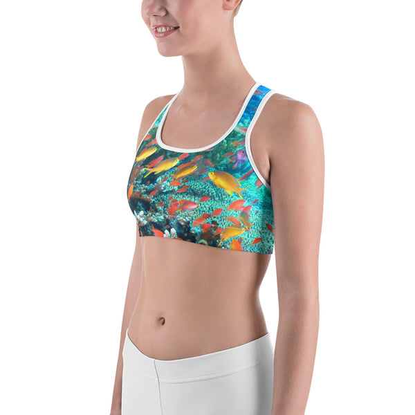Anthias Reef Sports bra