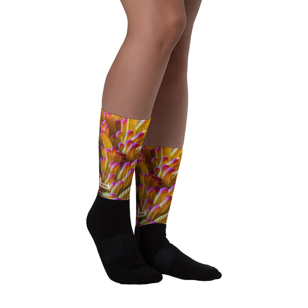 Sea Anemone Socks