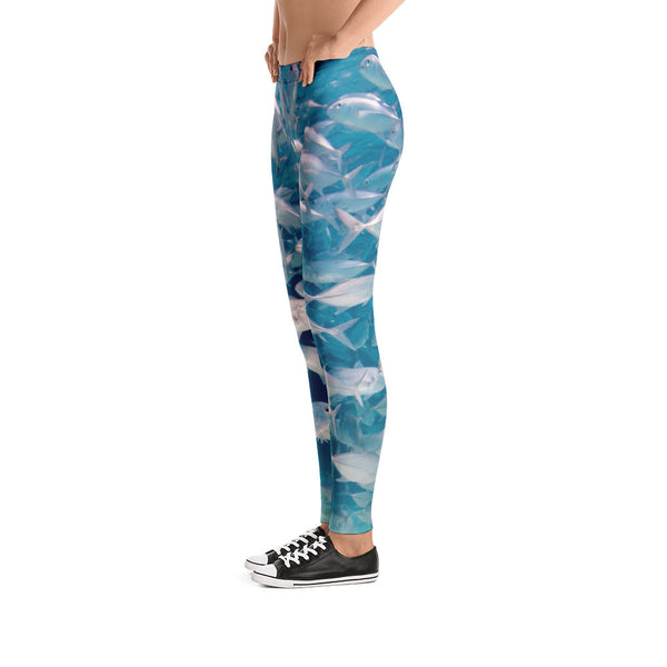 Crazy Jacks Leggings