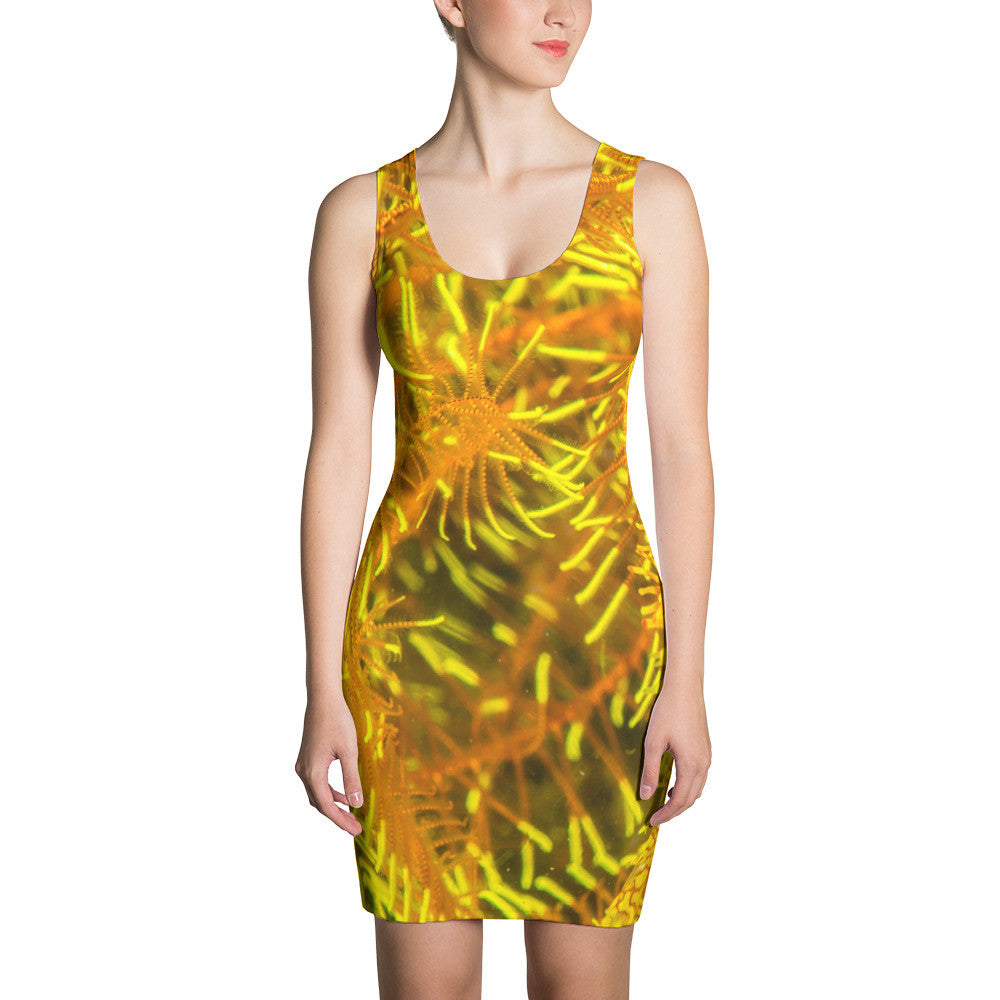 Pipefish & Crinoid Sublimation Cut & Sew Dress