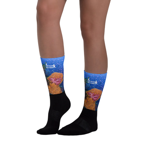 Sea Fan Reef Socks