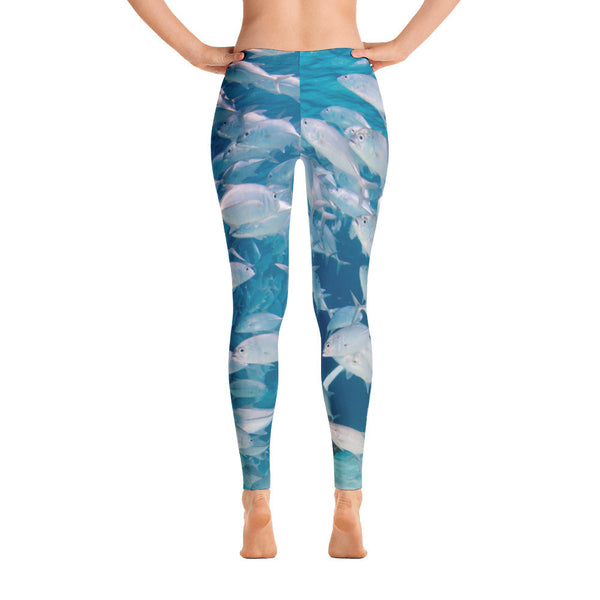 Crazy Jacks Leggings