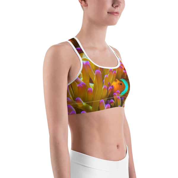 Hiding Nemo Sports bra
