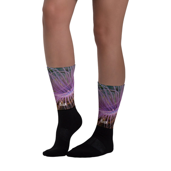 Purple Sea Anemone Socks