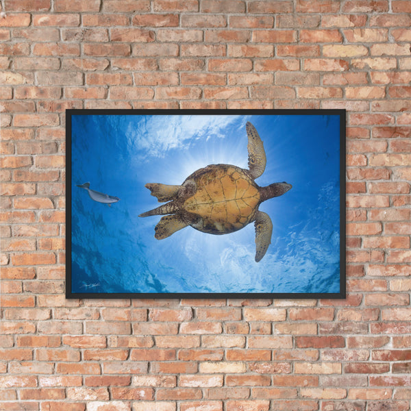 Signed Sunburst Sea Turtle in Hawaii Framed matte paper poster by David Fleetham