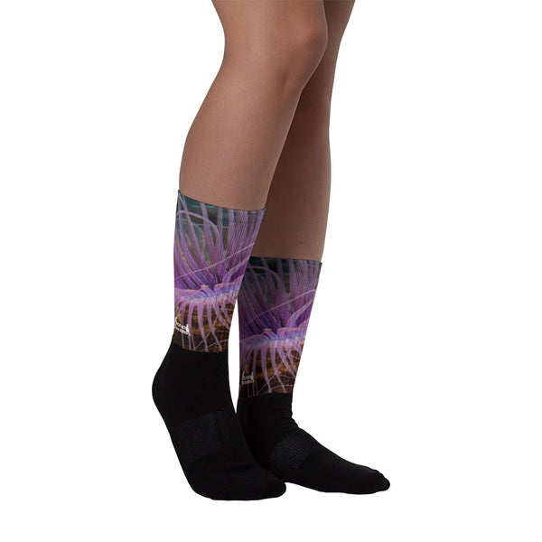 Purple Sea Anemone Socks
