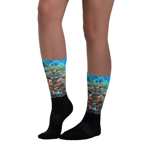 Anthias Reef Socks